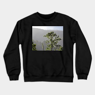 La Savegre Cloud Forest Crewneck Sweatshirt